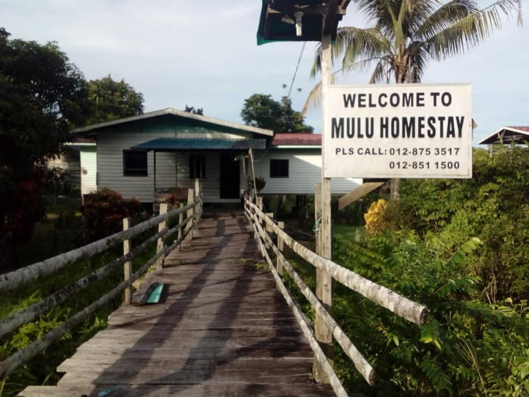 Mulu Homestay Esterno foto