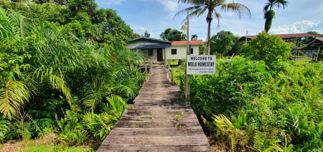 Mulu Homestay Esterno foto
