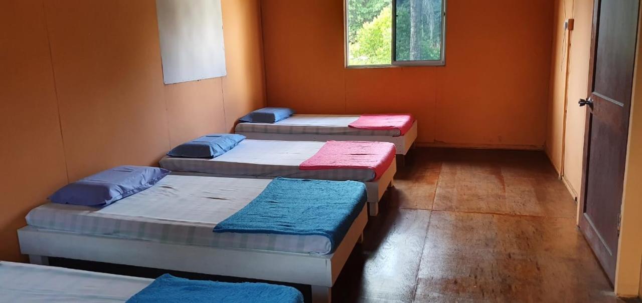 Mulu Homestay Esterno foto
