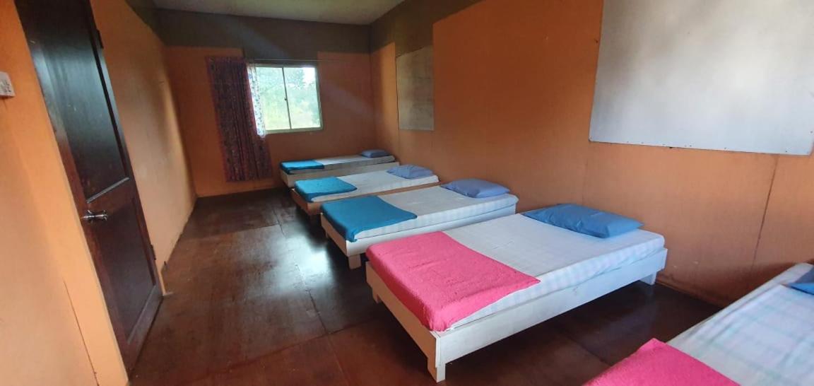 Mulu Homestay Esterno foto