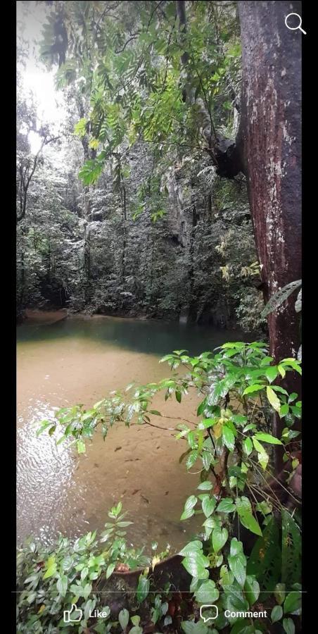 Mulu Homestay Esterno foto