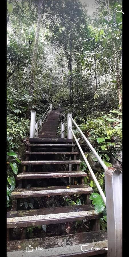 Mulu Homestay Esterno foto